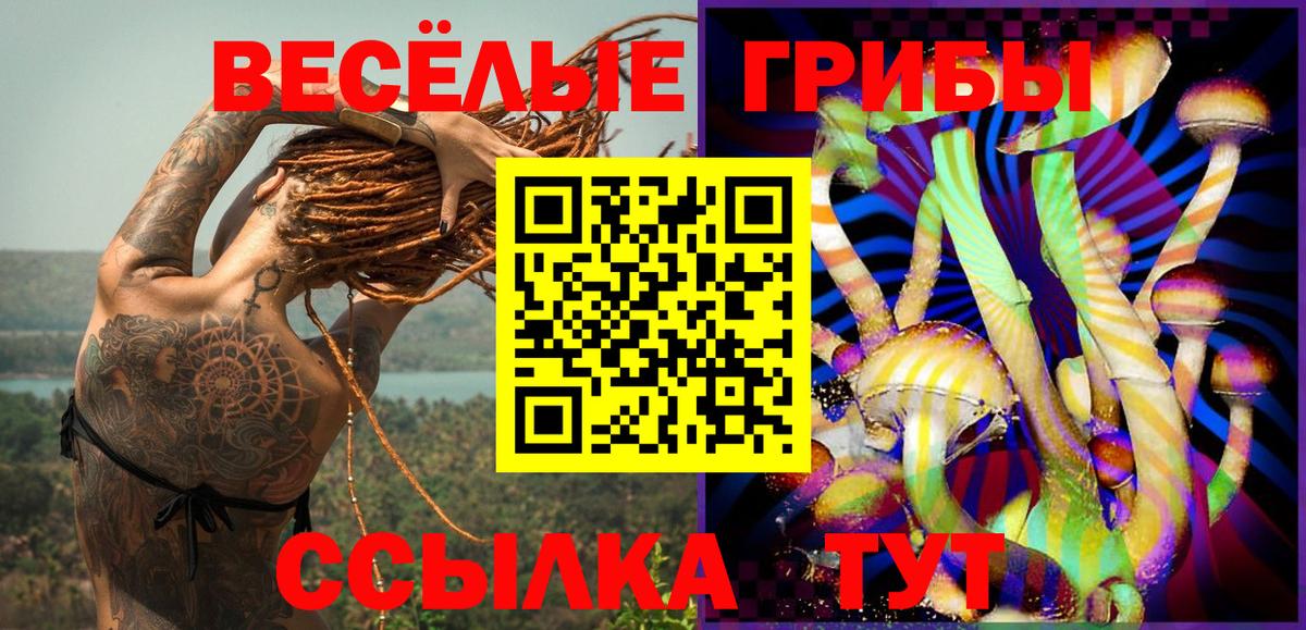 Псилоцибиновые грибы ЛСД Качканар